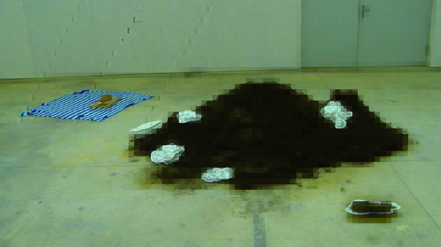 Verankerung
Installation und Performance, HKB Bern, 2008Berge sind als vergrößerte Sandkastenformen auf einem Haufen
Erde installativ inszeniert. Butter mitder Form von einem Berg wird auf Brote
gestrichen und verteilt. Persönliche Gedanken dazu: Die Landschaften, die
Berge, die Rituale, die Welten prägen.
Dauer der Performance: 4:05 Minuten